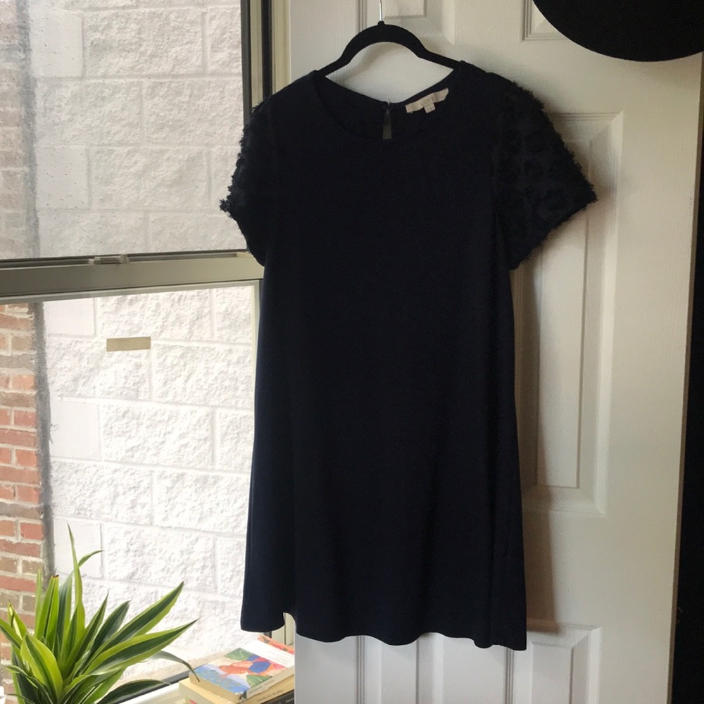 Navy blue Loft dress with ruffle sleeves